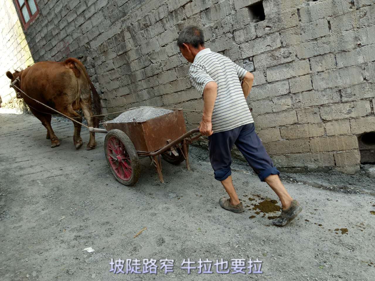 d7879b0ccb3647fb94dffbd3b445ec64.jpg