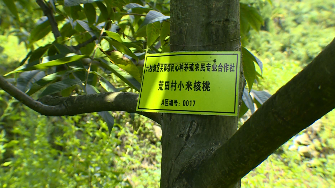 158b94036ef84db39c3564398a59ab07.png
