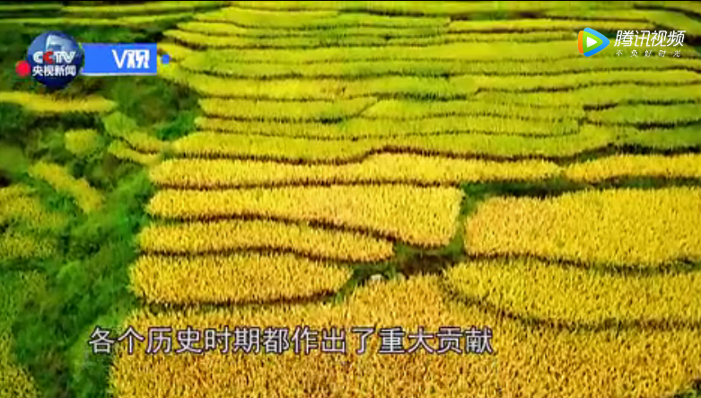 7b8544fc8a914ab5b0d8ba1c38f0a2b7.png