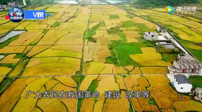 d00fb1733ece4420bfece7a8b9a1d693.png