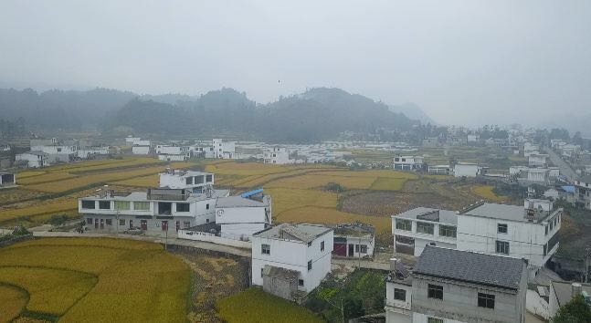 a67dd93ccc114b779711dbcd58791afa.jpg