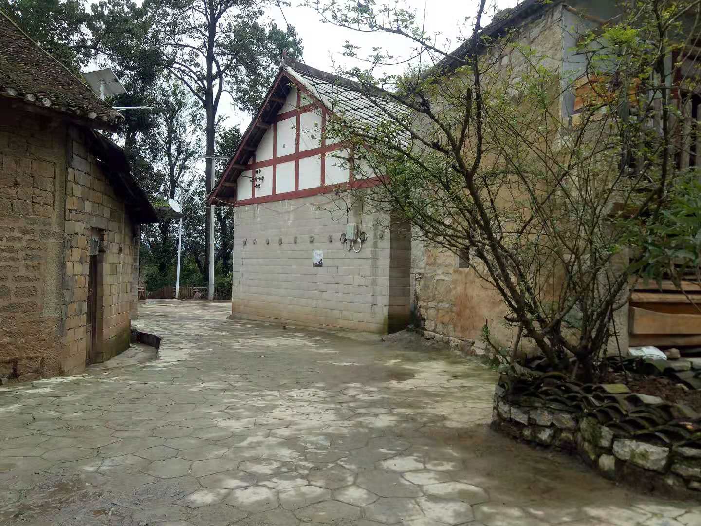 d439d0afad8b426cbb795ff494377bea.jpg