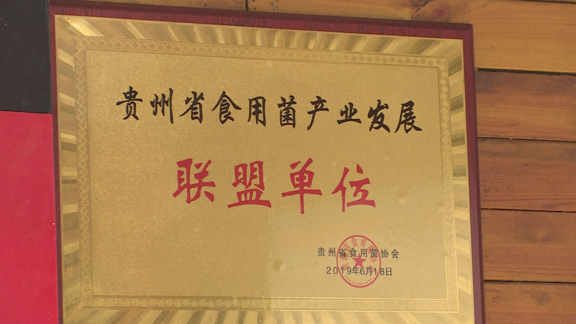 eb57ddd890684681905c46766111bc15.jpg