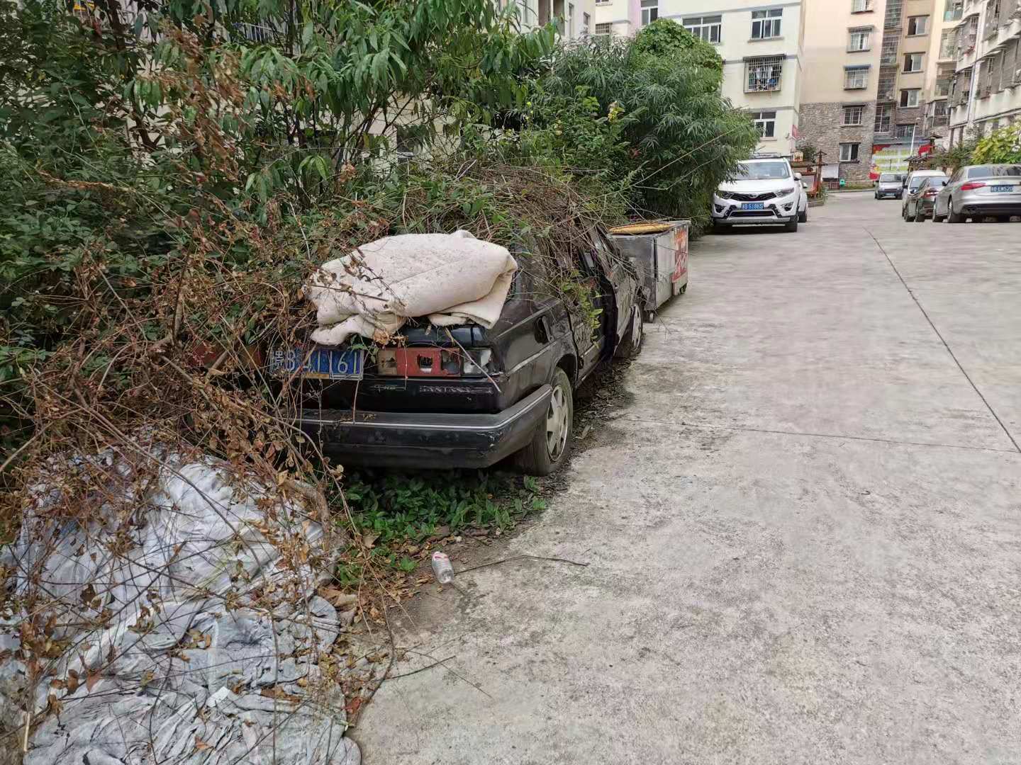 f8ae5101629248ccb932fb65e4f21c02.jpg