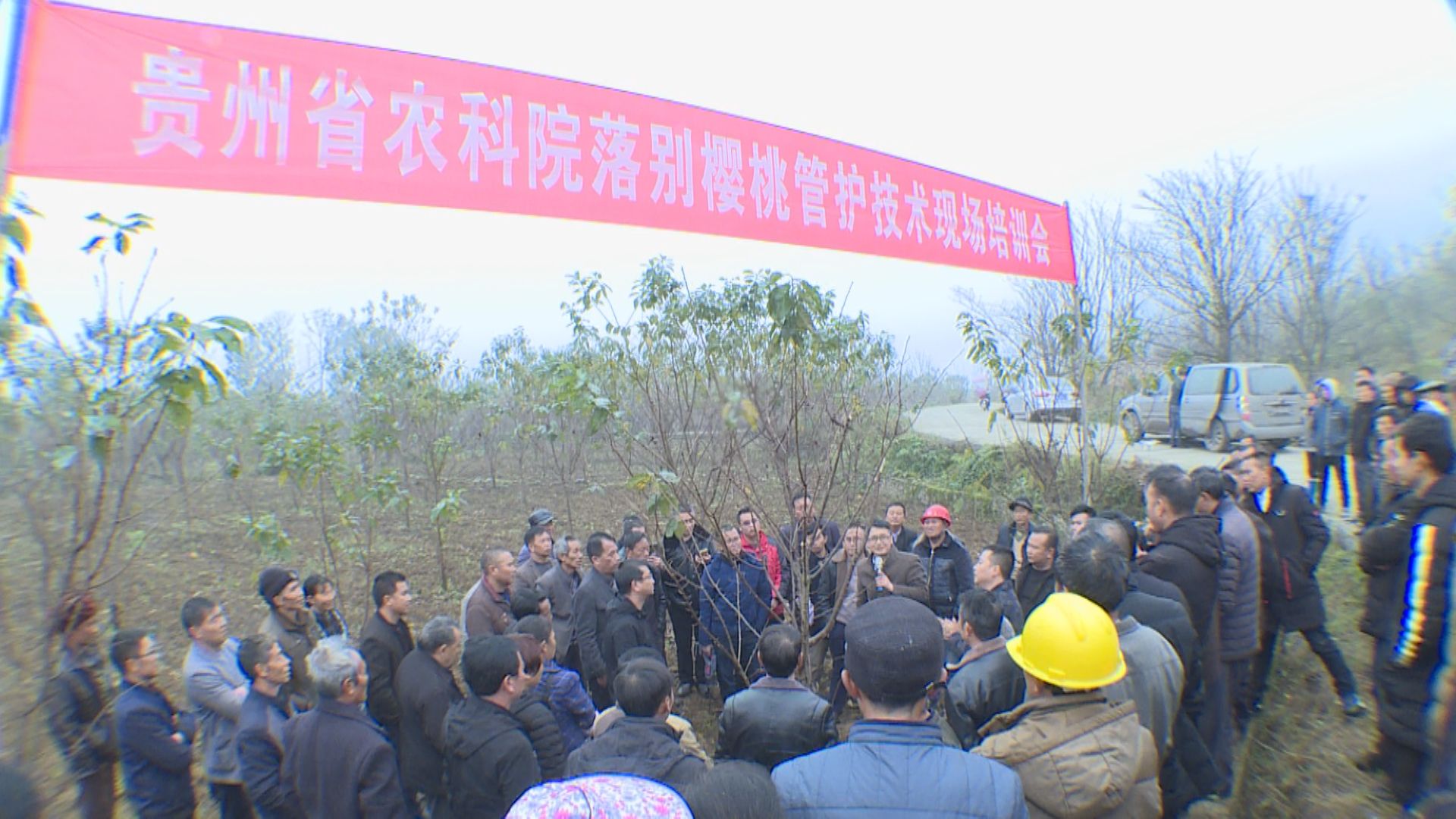 cebf2d6373b84946abbfc50fa025a855.jpg