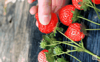 360df6dd361f4f5d8928a2be171d3feb.gif