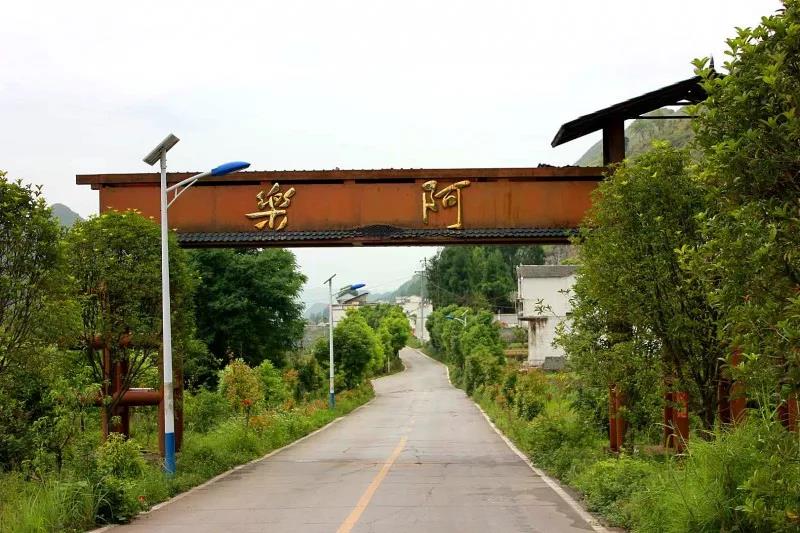 e1a892a920e442e3b1adec7673bba75e.jpg