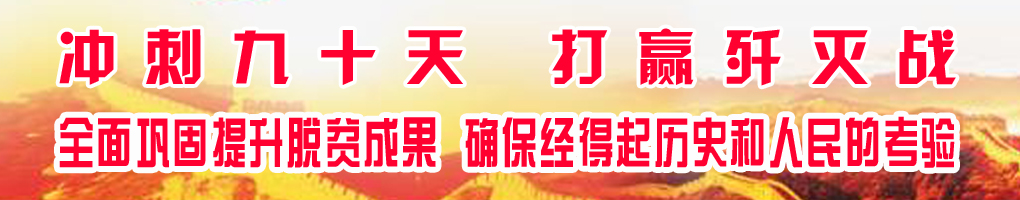 fc3846dd53a84a8fbf8be43a0e64bee5.jpg