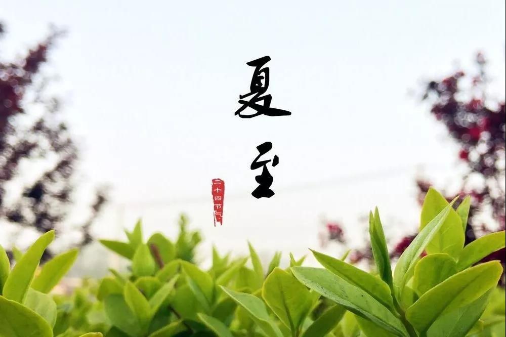 b8464dbe6b8f4b3ea25bb6eec920c7db.jpg