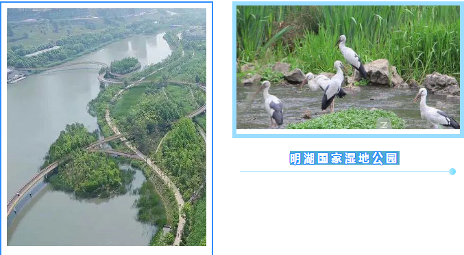 140b2733d23e4437a8136ad55cfab714.png