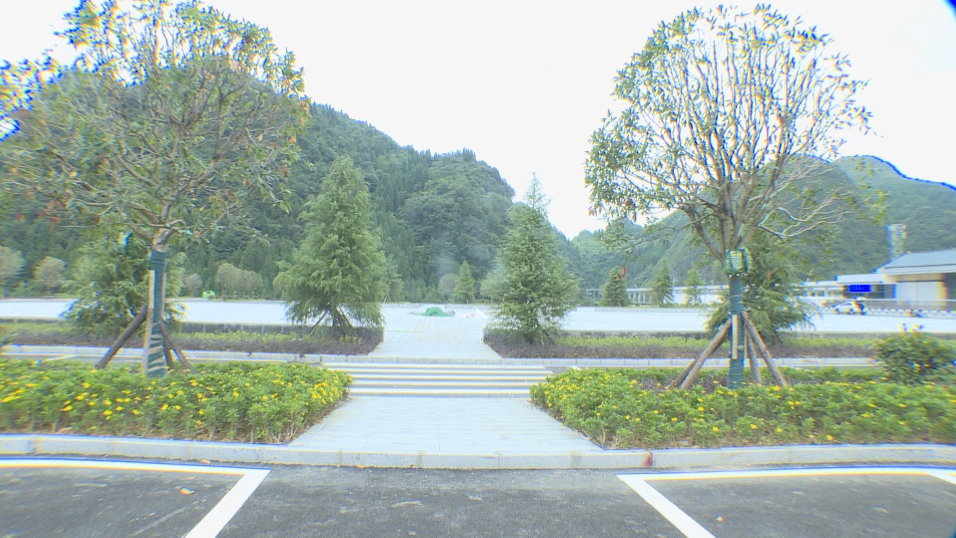 88fd1d7c35e8402a85890fa65fc817df.jpg