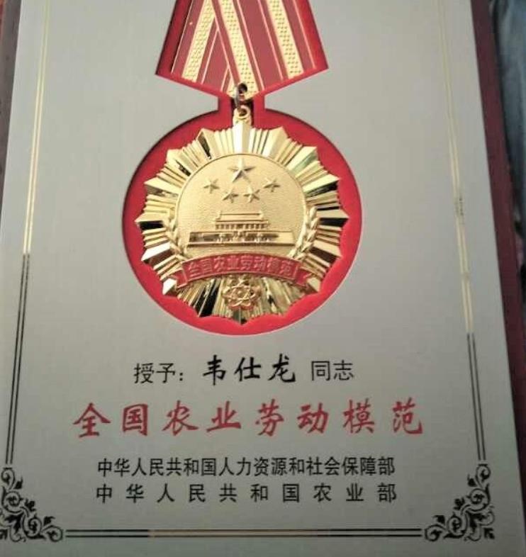 163aef211cb742a78a1dee2c9cce474e.jpg