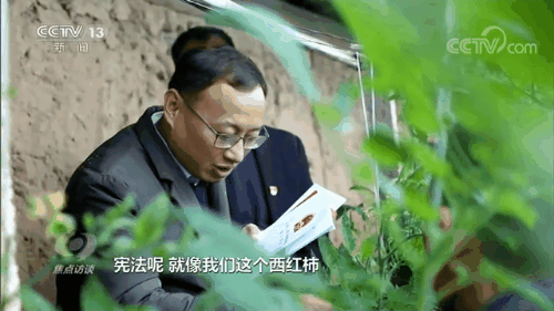 818ff25f54bd4a81ba245acd1b8bf1b7.gif