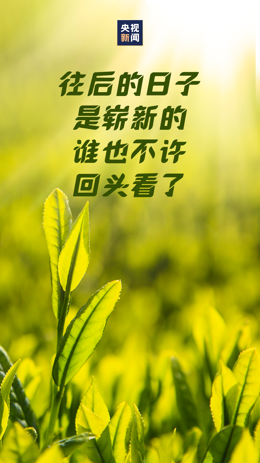 128f19843b104ae6843cdc7f070777d7.png