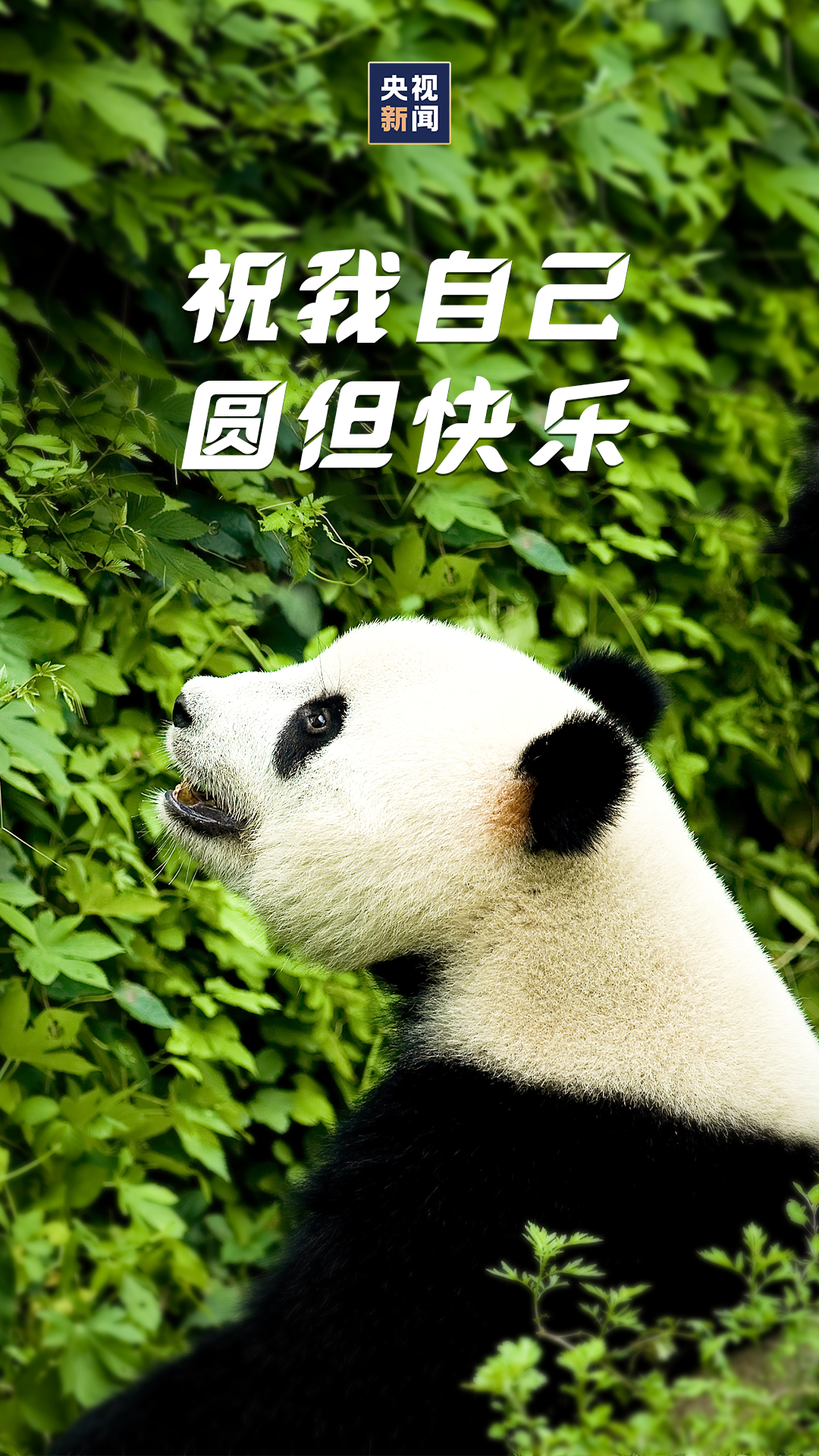 f39cb80f4367448ab28cb0346f8c34aa.png
