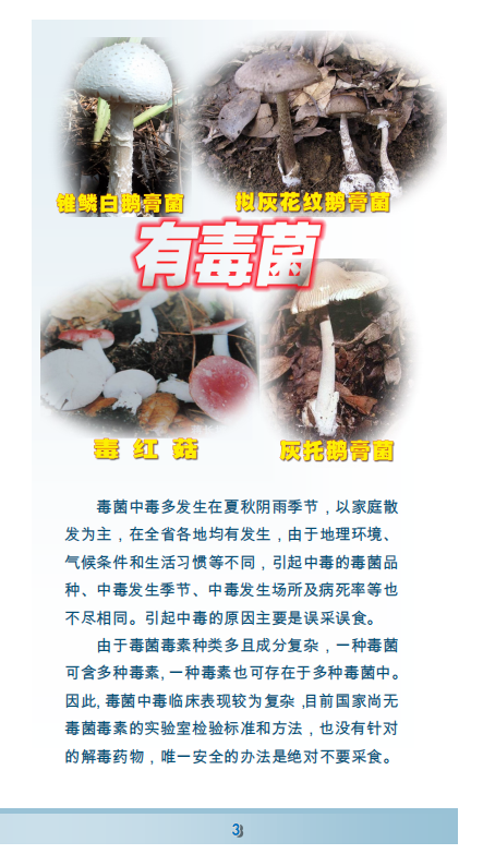 a7e464d4412a4d71939ed16b41db836a.png