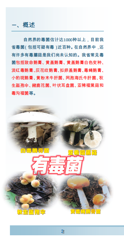 e58067aa4f2449549b05849bc38afec5.png