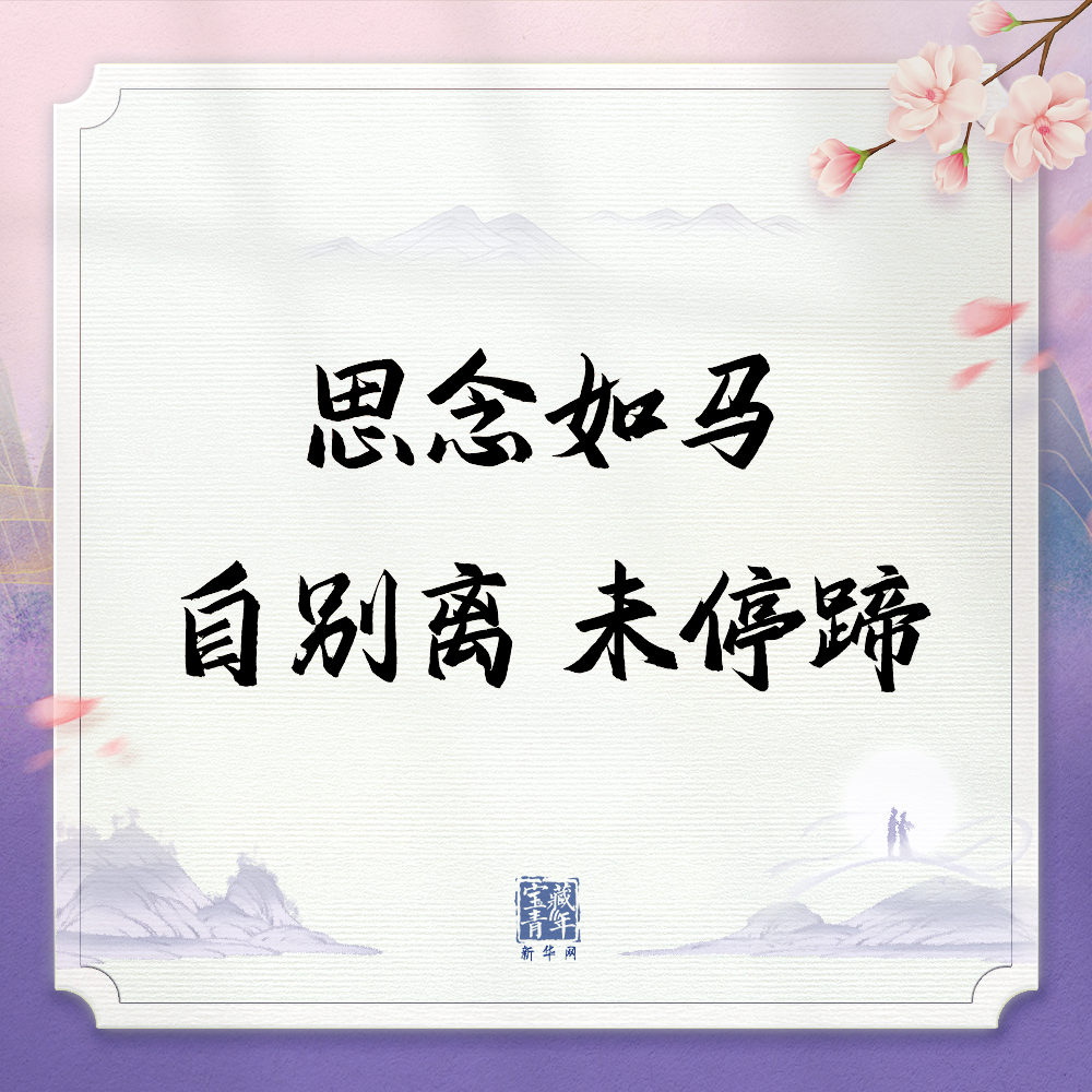 7e76c676f03d497da2416d836f0a4ccb.png