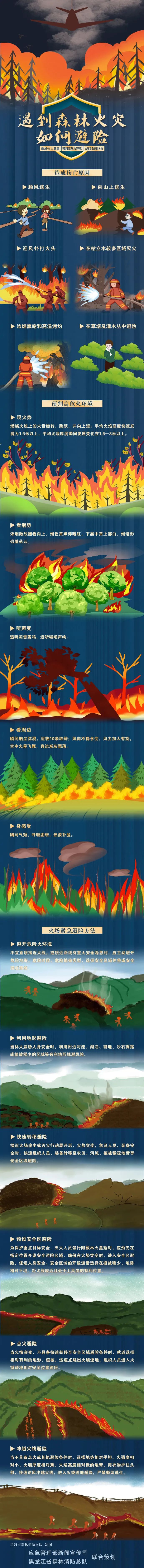 855acec8b1744e7f99c7cb49b0805275.jpg