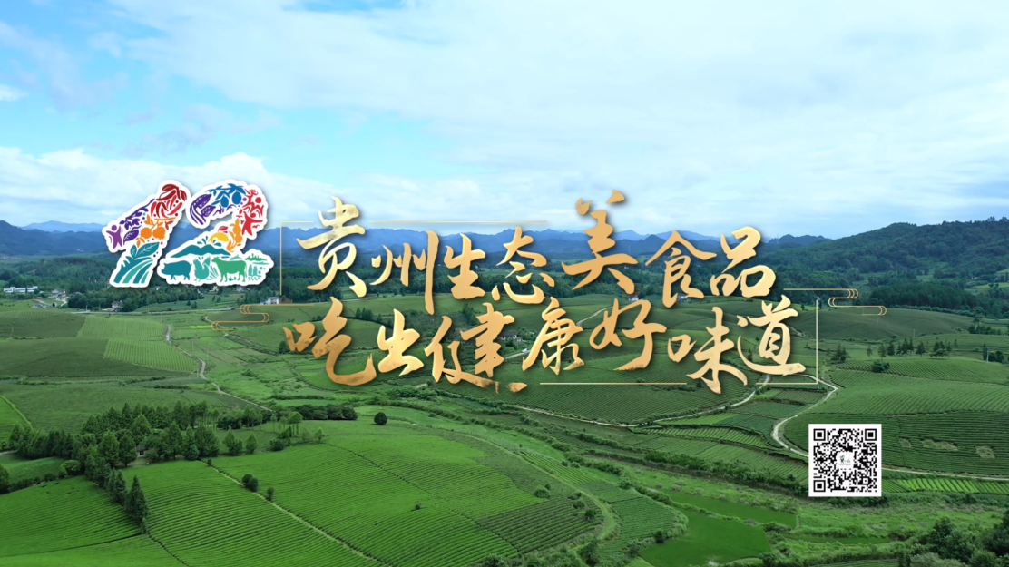 bd5661c995fd49c4be91a04c43d860fc.png