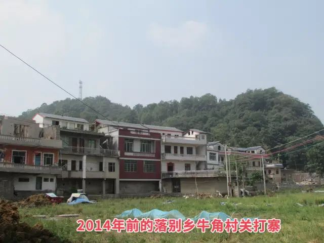 355f266600c04463afcff4517ab5ab8c.jpg