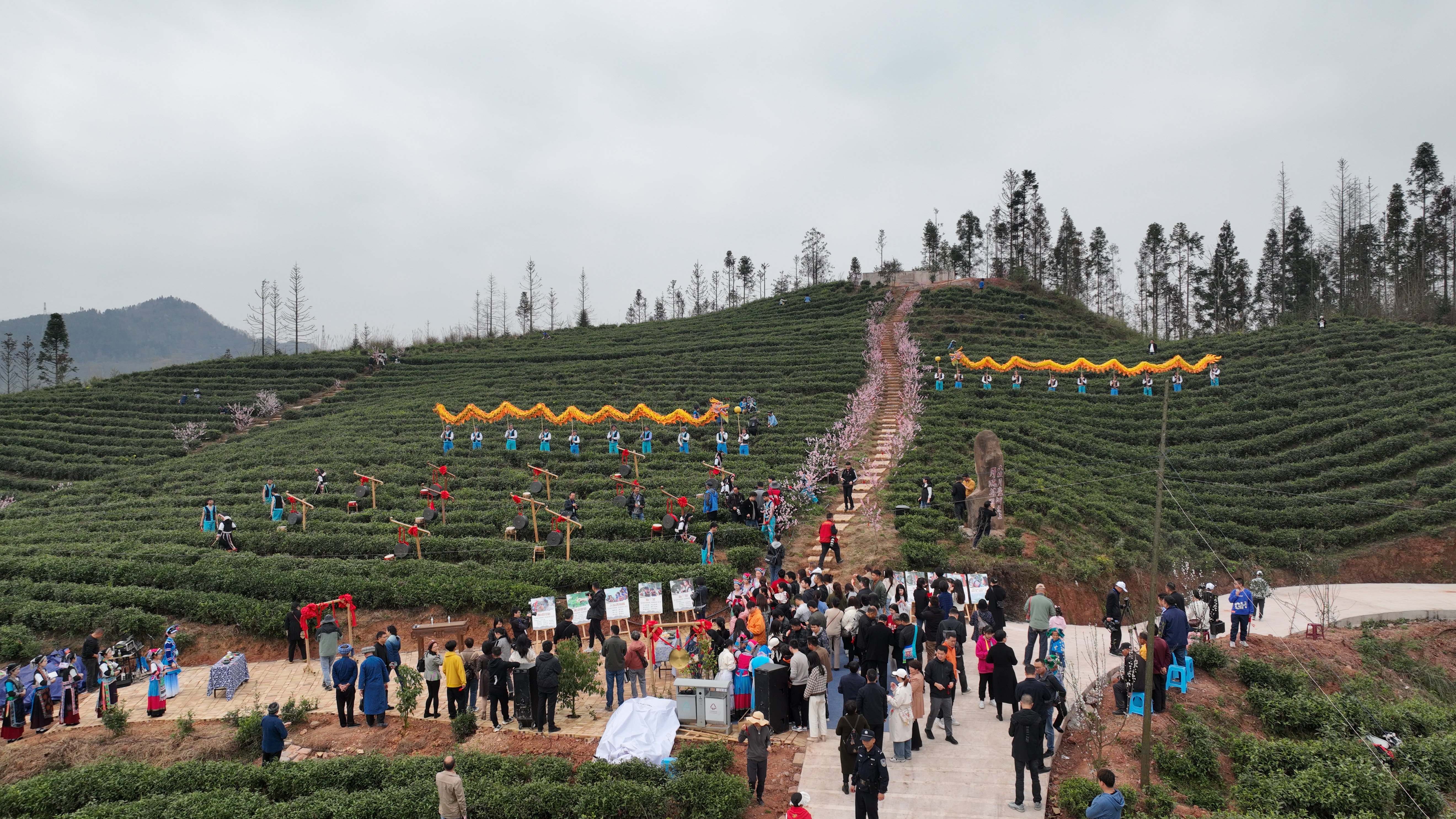 d3eac0ec853b4f968081fa15cc18430e.jpg
