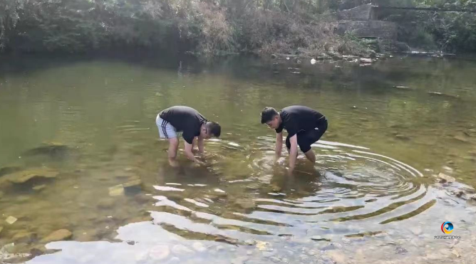 29d10f94eae34f57b7d8e8ec0437da50.png
