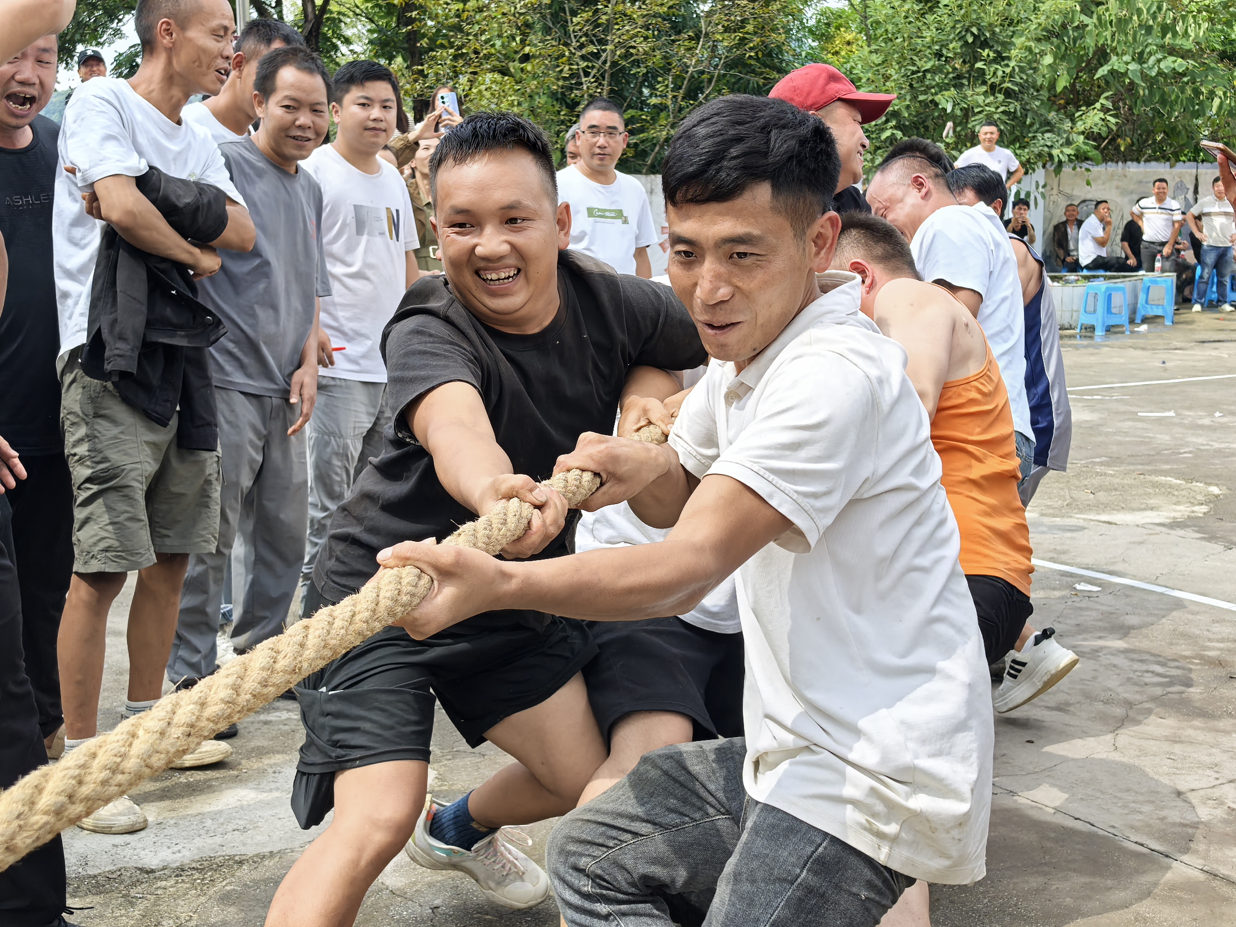 5e31447156b644a1a346c9906cdbacee.jpg